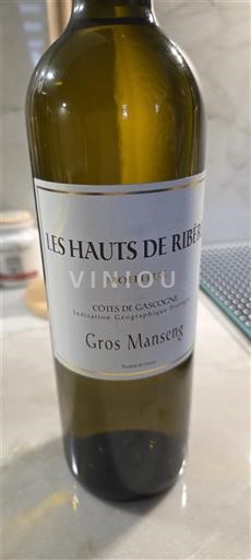 Sudoeste Côtes de Gascogne Les Hauts de Ribé Gros Manseng 2020