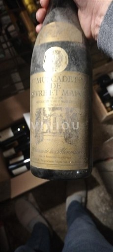 Valle della Loira Muscadet Sèvre et Maine Château La Bigotière 1989