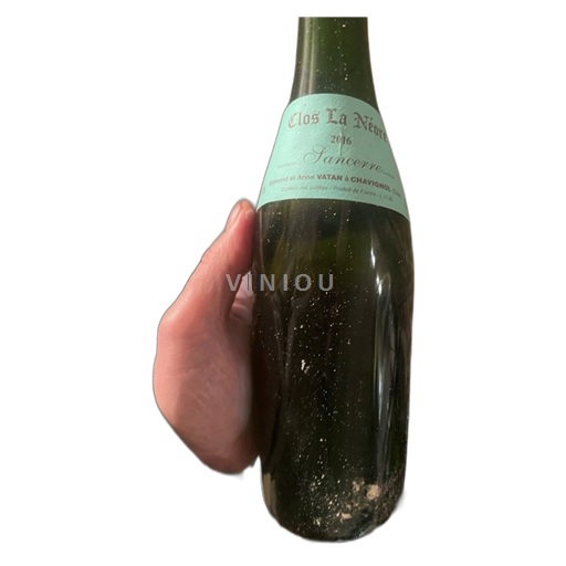 Valle della Loira Sancerre Domaine Edmond Vatan Clos la Néore 2016