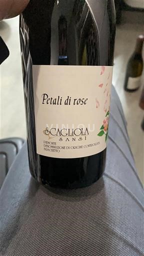 Piemonte Brachetto d'Acqui Scagliola Sansi Petali di rose 2017