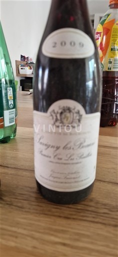 Borgonha Morey-Saint-Denis Premier Cru Lucien Le Moine Premier Cru Les Ruchots 2009