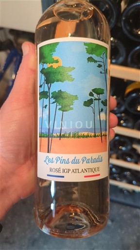 Aquitaine và Charentes Đại Tây Dương Les Pins du Paradis Không niên vụ