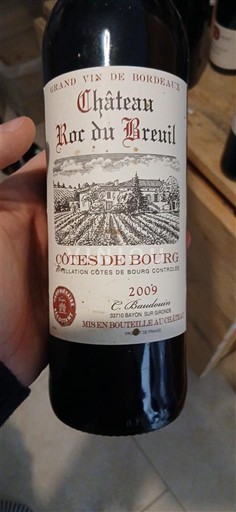 Bordeaux Côtes-de-bourg Château Roc du Breuil 2009