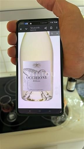 Vina Blanc sec Occhione Tenuta di Bibbona 2021 Italija Toskana Bolgheri DOC