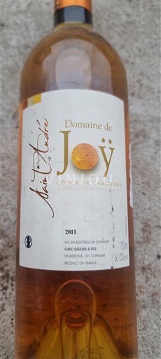 Sud-Ouest Côtes de Gascogne Domaine Joy 2011