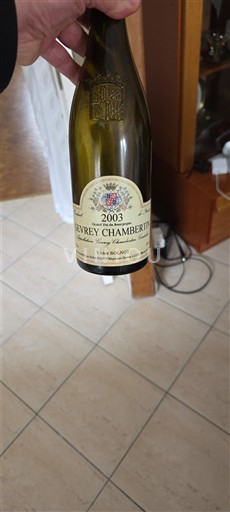 Bourgogne Gevrey-chambertin Vigne Belleot 2003