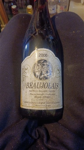 Beaujolais Kega Arkhi 2006