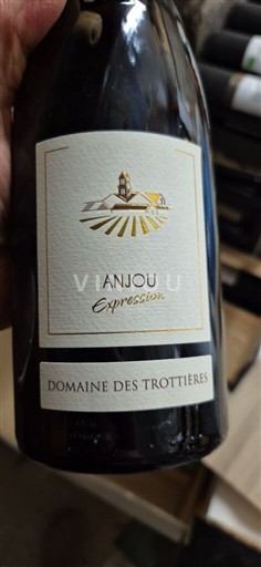 Valle della Loira Anjou Domaine S Trottières Expression 2018