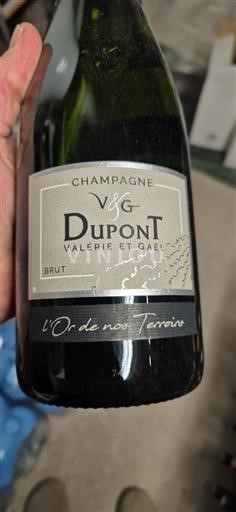 Champagne V&G Dupont L'Or de nos Terroirs Ikke årgangsbestemt
