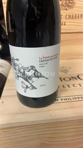 Languedoc in Roussillon Pays d'Oc La Pointe aux Cailles 2022