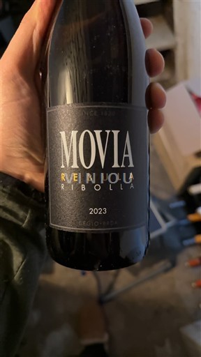 Primorska Goriška Brda Movia Rebula Ribolla 2023