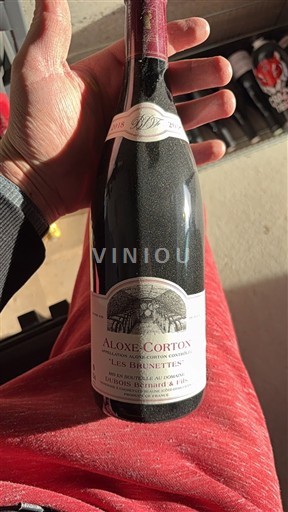 Bourgogne Aloxe-Corton Domaine Bois Bernard & Fils Les Brunettes 2018