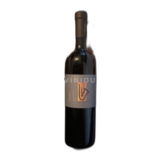Primorska Vipava Valley Poljsak Merlot Selekcija 2017