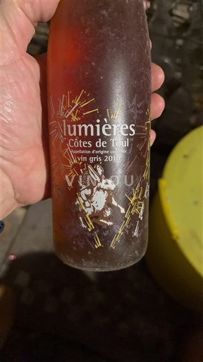 Lorena Côtes-de-toul Lumières 2010