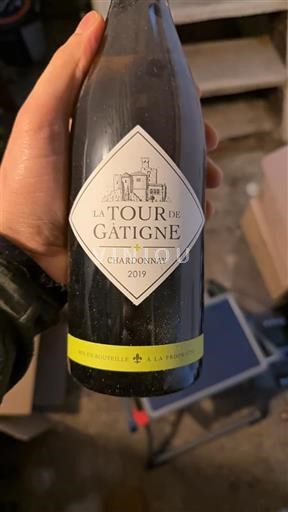 Linguadoca e Rossiglione Cévennes La Tour de Gatigne Chardonnay 2019