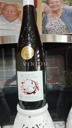 Valle della Loira Saumur Domaine La Guilloterie L'Étonnante 2020