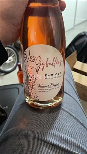 Vallée de la Loire Vincent Cherrier Les Gybulles 2023