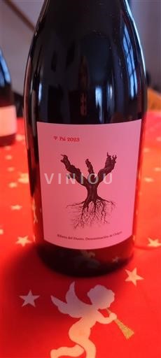 Castille và León Ribera del Duero Dominio de Pingus Psi 2023