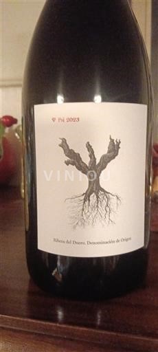 Castilia și León Ribera del Duero Dominio de Pingus Psi 2023