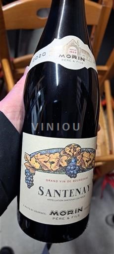 Bourgogne Santenay Morin Père & Fils 2020