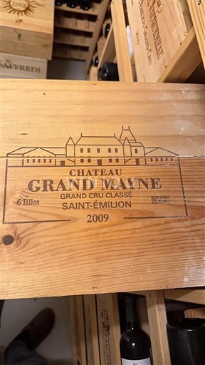 Bordo Saint-Émilion Grand Cru Château Grand Mayne 2009
