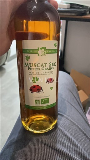 Languedoc Nicht spezifiziert La Cave de Rabellais Muscat Sec Petits Grains 2020