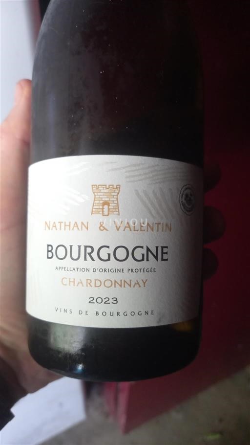 Burgundi Bourgogne Nathan & Valentin Chardonnay 2023