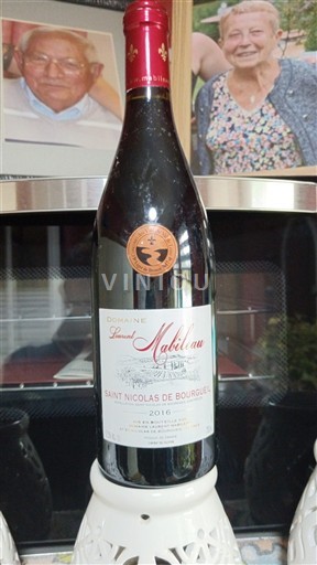 Valle della Loira Saint-Nicolas-De-Bourgueil Domaine Laurent Mabileau 2016