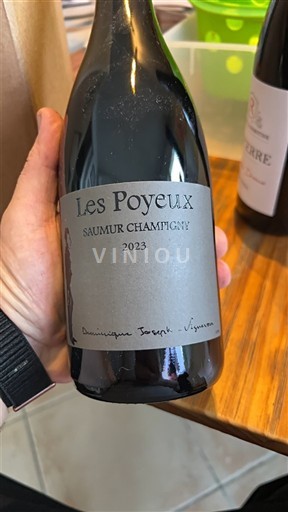 Valle della Loira Saumur-Champigny Dominique Joseph Les Poyeux 2023