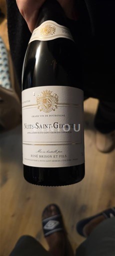 Bourgogne Nuits-saint-georges René Bisson et Fils 2019