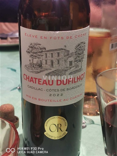 Bordeaux Cadillac-côtes-de-bordeaux Château Filhot 2022