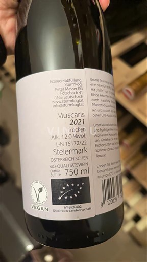 Steiermark Masser Sturmkogl Muscaris 2021