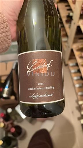 Pfalz Lucashof Luginsland 2023