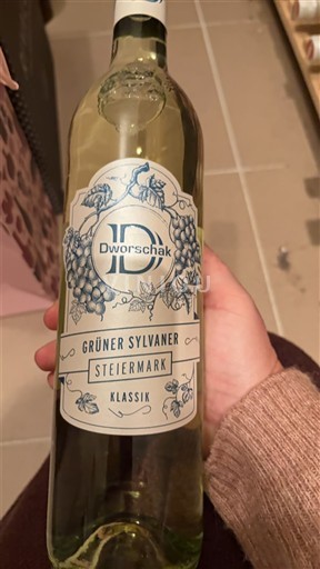 Steiermark Dworschak Klassik 2024