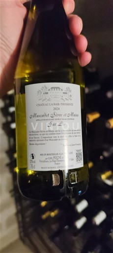 Valle della Loira Muscadet Sèvre et Maine Château La Haute-Tessonière 2024