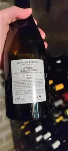 Valle della Loira Muscadet Sèvre et Maine Domaine Petiteau 2020