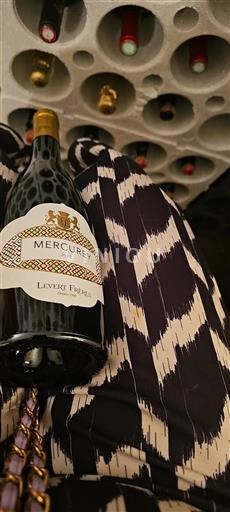 Bourgogne Mercurey Domaine Levert Frères 2020