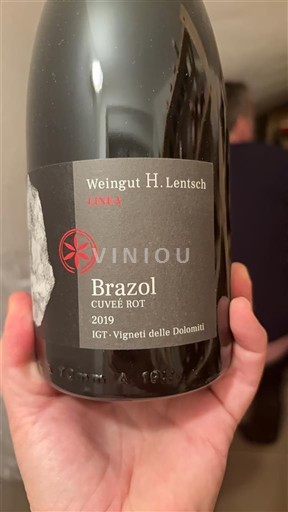 Trentino-Alto Ádige Vigneti delle Dolomiti Weingut H. Lentsch Brazol Rot 2019
