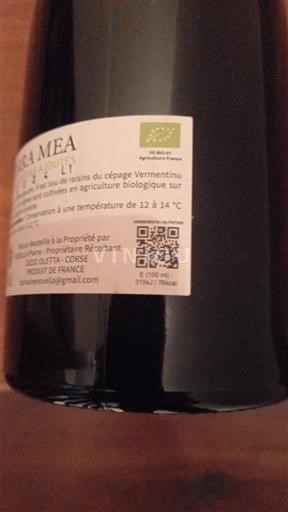 Corse Pierre Novella Terra Mea 2024