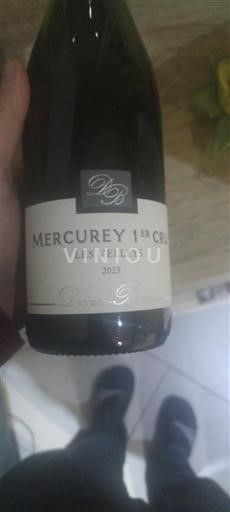 Borgogna Mercurey Premier Cru Domaine Plessis-Bernardin Les Velley 2023