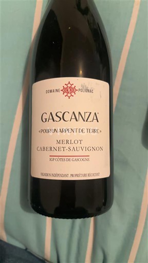 Sudoeste Côtes de Gascogne Domaine Polignac Gascanza - Pour un arpent de terre Sin añada