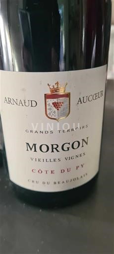 Beaujolais Morgon Arnaud Auceur Vieilles Vignes Côte du Py 2019