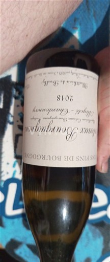 Bourgogne Meursault Domaine Ballot-Millot & Fils Les Criots 2018