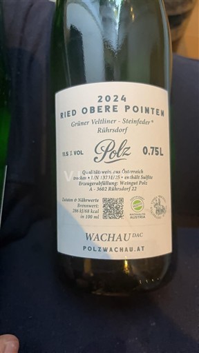 Hạ Áo Wachau DAC Polz Ried Obere Pointen Grüner Veltliner - Steinfeder 2024