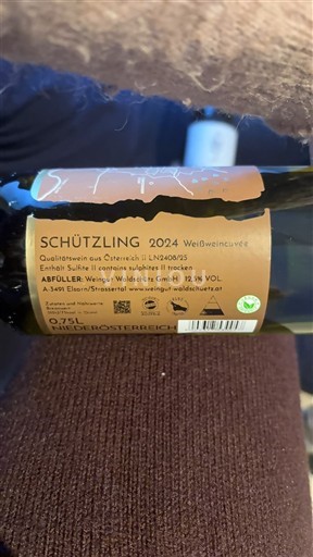 Hạ Áo Không được chỉ định Weingut Waldschütz GmbH Weißwein 2024