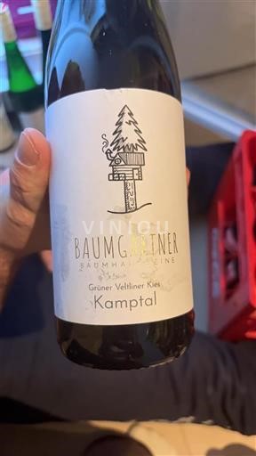 Hạ Áo Kamptal DAC Baumgartner Grüner Veltliner Kies 2024
