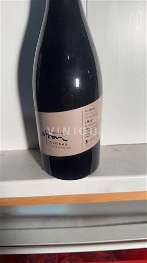 Beaujolais Juliénas Domaine Le chapon 2022