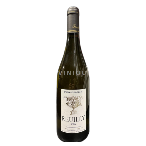 Valle della Loira Reuilly Etienne Borgnat 2022