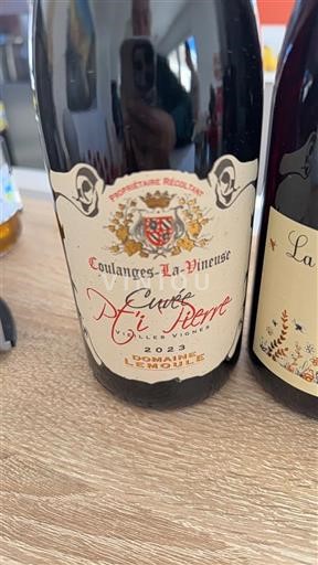 Borgonha Não especificado Domaine Lebonnois-Lemoine P'tit Pierre Vieilles Vignes 2023