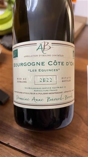 Bourgogne Bourgogne Côte d'Or Domaine Anne Bavard-Broer Les Equinces 2022